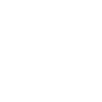 v2 bigou